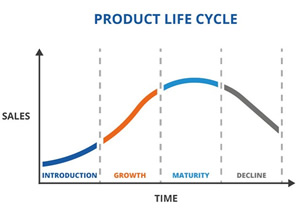 2022 02 28 diretora catarina rebocho 02